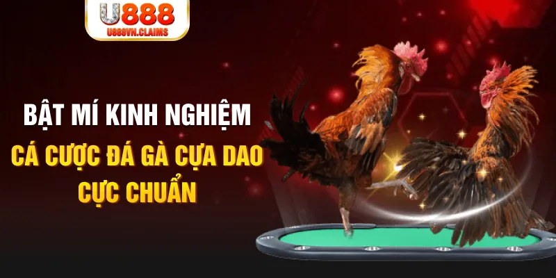 m88 link casino hồ tràm có cho người việt vào không