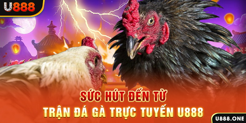 m88 link đăng nhập poker 2024