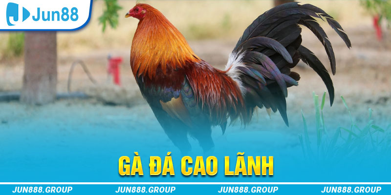 m88 link tai game vua bai ve may tinh