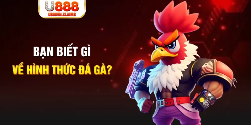 m88 link đăng nhập liêng tặng tiền