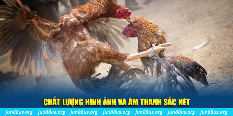 m88 link tai game danh bai mien phi ve may tinh