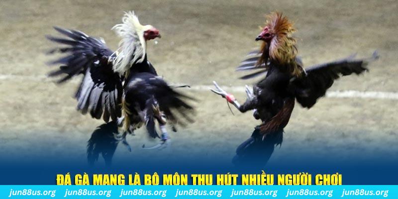 m88 link đăng nhập sòng bạc số 1