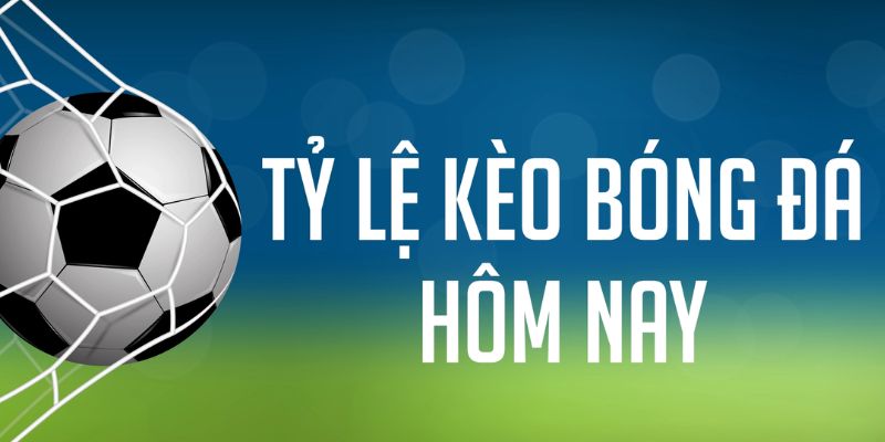 m88 link đăng nhập phỏm