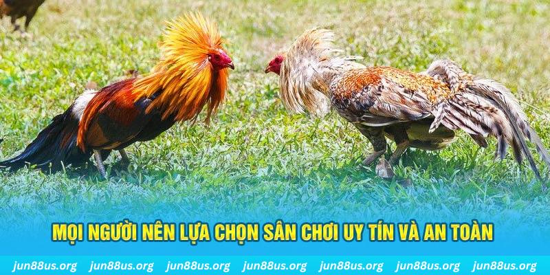 m88 link đăng nhập poker 2025
