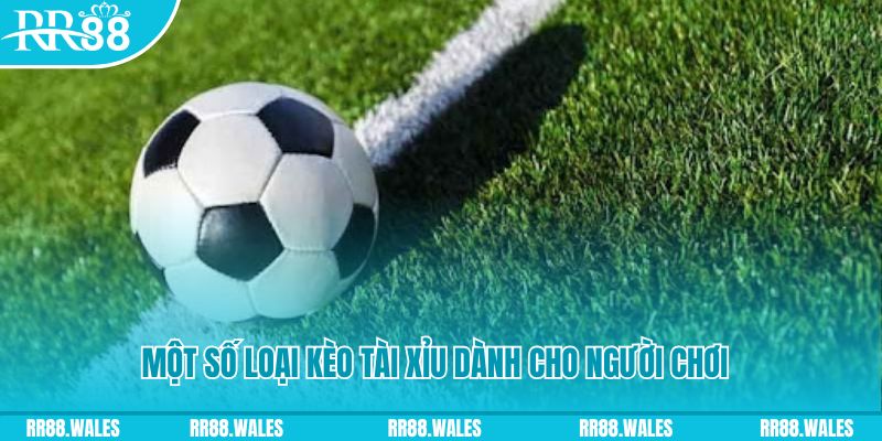 m88 link slot nghĩa là gì