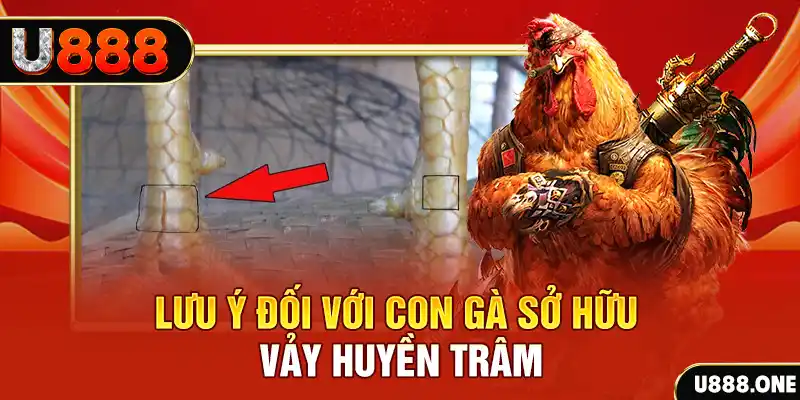 m88 link tải game đánh bài tiến lên miền nam về máy tính
