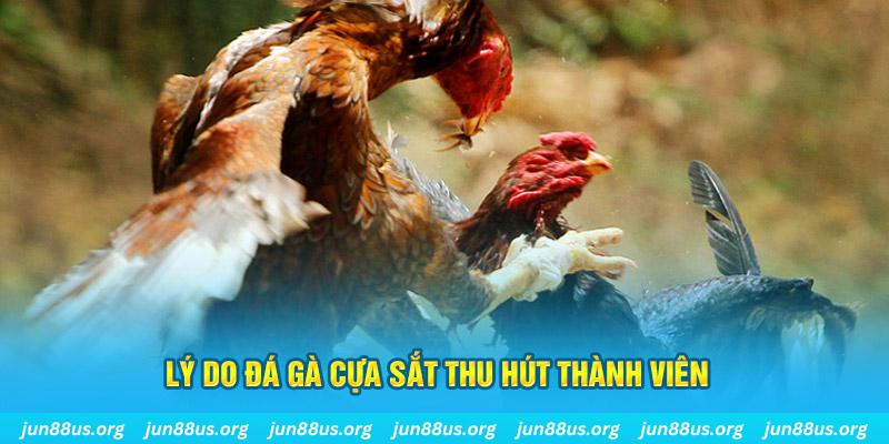 m88 link nổ hũ ăn bao nhiêu