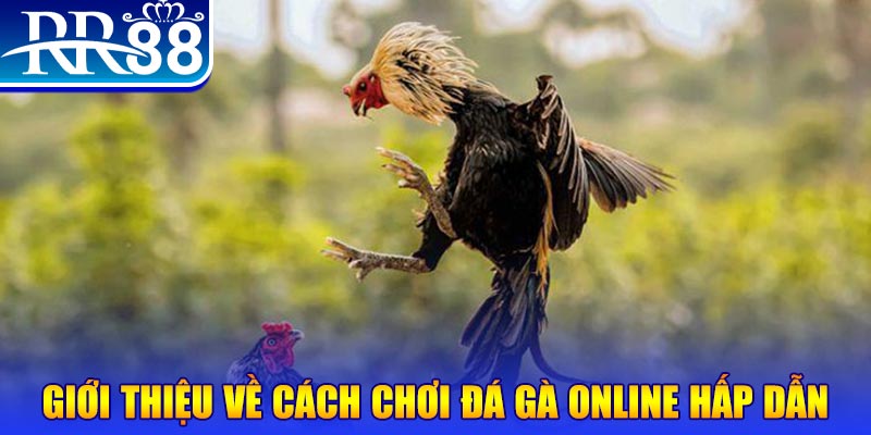 m88 link EvoPlay Điện Tử