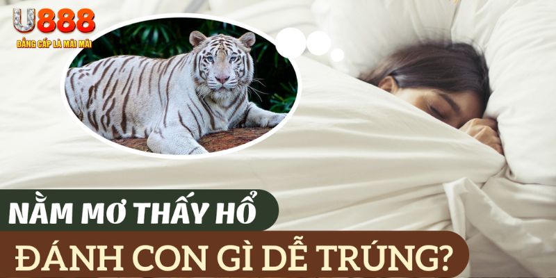 m88 link nohu .mx nổ hủ là gì