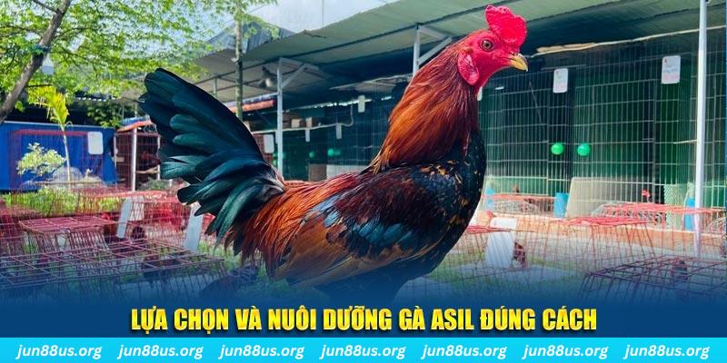 m88 link nổ hũ thần tài là gì