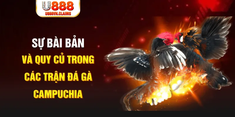 m88 link game xếp bài trên máy tính