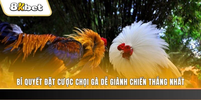 m88 link nổ hũ chơi như thế nào