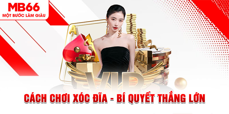 m88 link Đĩa màu ace