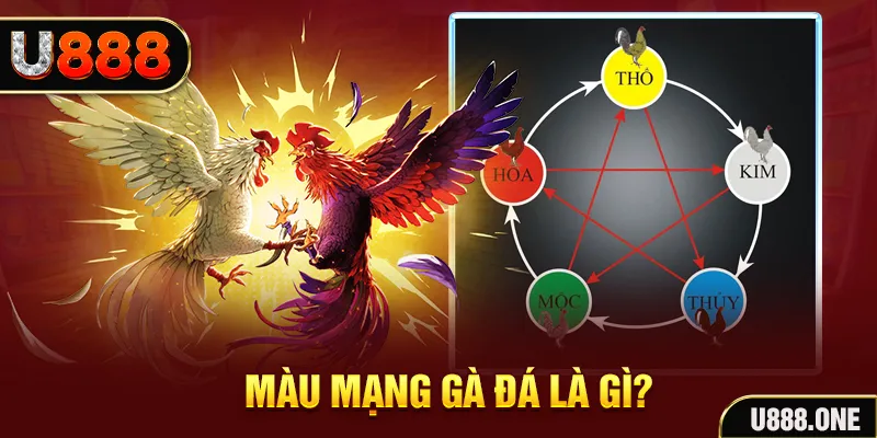 m88 link V8 Game Bài 3d