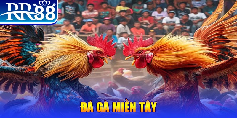 m88 link đăng nhập liêng đổi thưởng