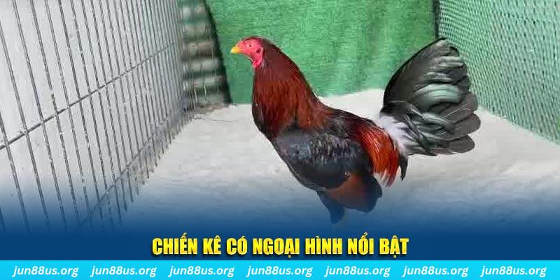 m88 link qq88 bắn cá