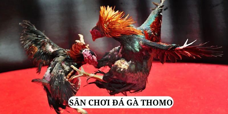 m88 link quay nổ hũ là gì