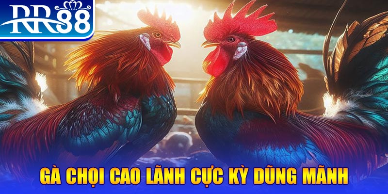 m88 link đăng nhập poker live